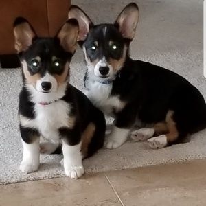 Meet your Posher, Julie